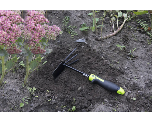 Outil de jardin avec râteau et houe dans le parterre à côté d'une plante