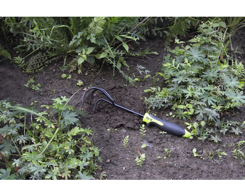 Gartenkralle im Beet zwischen Pflanzen