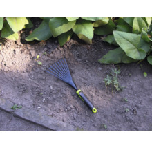 Râteau de jardin sur terre de jardin avec plantes