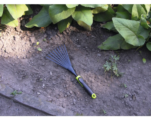 Râteau de jardin sur terre de jardin avec plantes