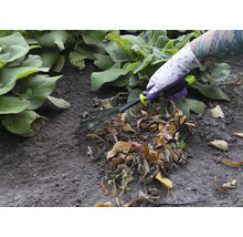 Une personne portant des gants de jardin utilise un râteau à feuilles pour ramasser les feuilles.