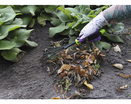 Une personne portant des gants de jardin utilise un râteau à feuilles pour ramasser les feuilles.