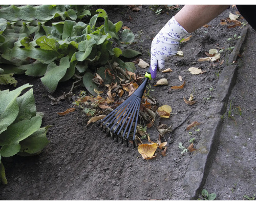 Une personne ratisse les feuilles avec un balai à gazon dans le jardin.