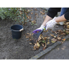 Scène de jardinage avec râteau à feuilles, gants de jardinage et seau pour ramasser les feuilles