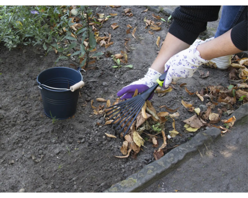 Scène de jardinage avec râteau à feuilles, gants de jardinage et seau pour ramasser les feuilles