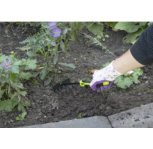 Personne utilisant un petit râteau pour jardiner