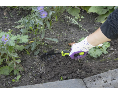 Personne utilisant un petit râteau pour jardiner
