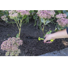 Une main tient un râteau pour le jardinage à côté des plantes.