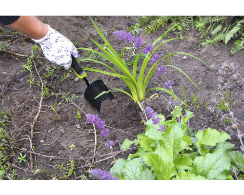 Eine Person pflanzt mit einer Handschaufel eine Pflanze in Erde.