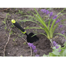 Gartenszene mit einer kleinen Gartenschaufel neben einer Pflanze mit lila Blüten.