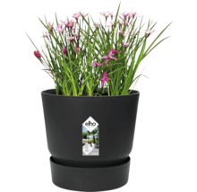 Pot de fleurs elho avec plante et soucoupe, système d'arrosage intégré, fabriqué à partir de matériaux recyclés.