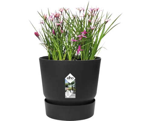 Pot de fleurs elho avec plante et soucoupe, système d'arrosage intégré, fabriqué à partir de matériaux recyclés.