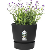 Pot de fleurs rond en plastique avec soucoupe intégrée et plante verte aux fleurs violettes, Elho Logo.