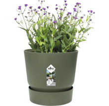 Pot de fleurs elho vert feuille avec soucoupe, plante à fleurs violettes et elho Logo. En plastique recyclé avec système d arrosage.