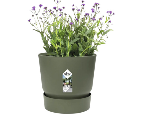 Pot de fleurs elho vert feuille avec soucoupe, plante à fleurs violettes et elho Logo. En plastique recyclé avec système d arrosage.