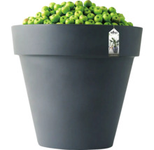 Grand pot de fleurs rond elho de couleur anthracite, rempli de pommes vertes pour illustrer la taille.