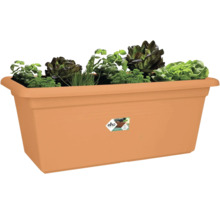 Rechteckiger elho Pflanzkasten in Terrakotta, bepflanzt mit Kräutern und Salaten wie Petersilie, Schnittlauch und verschiedenen Blattsalaten.