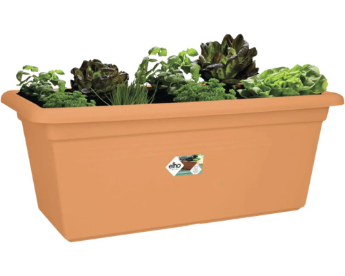 Rechteckiger elho Pflanzkasten in Terrakotta, bepflanzt mit Kräutern und Salaten wie Petersilie, Schnittlauch und verschiedenen Blattsalaten.
