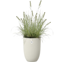 Pot de fleurs blanc haut avec structure rainurée de Elho, planté d une herbe ornementale. Elho Logo.