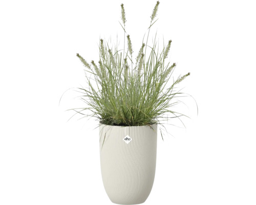 Pot de fleurs blanc haut avec structure rainurée de Elho, planté d une herbe ornementale. Elho Logo.