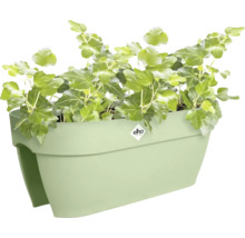 elho Balkonkasten für das Geländer bepflanzt mit Efeu.