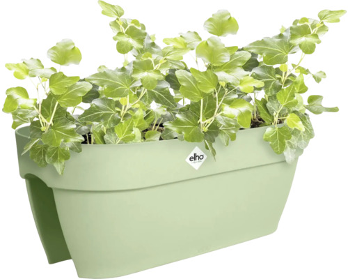 elho Balkonkasten für das Geländer bepflanzt mit Efeu.