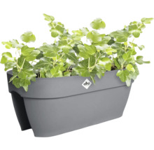 Elho Balkonkasten für das Geländer aus Kunststoff in Anthrazit mit Efeu und Elho Logo.