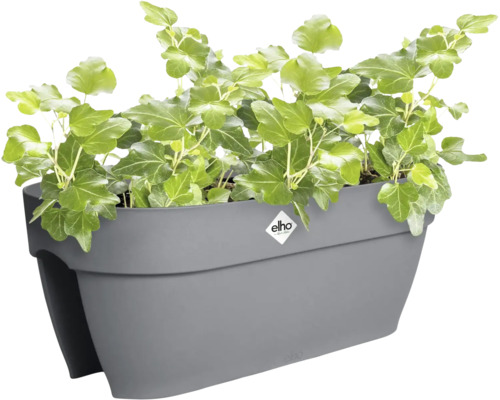 Elho Balkonkasten für das Geländer aus Kunststoff in Anthrazit mit Efeu und Elho Logo.