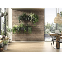 Revêtement mural aspect bois avec bacs à plantes muraux dans une pièce lumineuse avec parquet et grandes fenêtres.