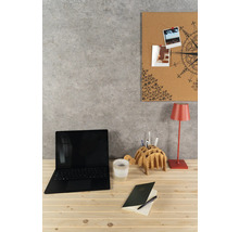 Organisierter Arbeitsplatz mit Laptop, roter Tischlampe, schildkrötenförmigem Halter und Pinnwand auf hellem Holztisch vor grauer Wand.