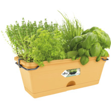 Jardinière à herbes Elho en plastique garnie de basilic, persil et ciboulette.