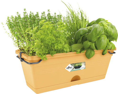 Jardinière à herbes Elho en plastique garnie de basilic, persil et ciboulette.
