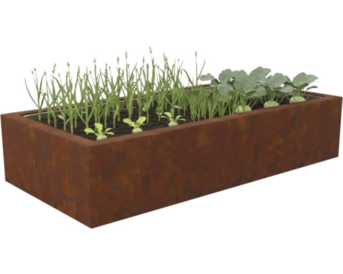 Potager surélevé rectangulaire en acier Corten avec de jeunes plants de légumes comme du chou-rave et des pousses vertes.