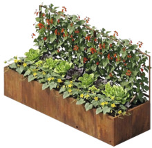 Jardinière surélevée rectangulaire en acier corten avec grand treillis, plantée de salades et de plantes grimpantes.