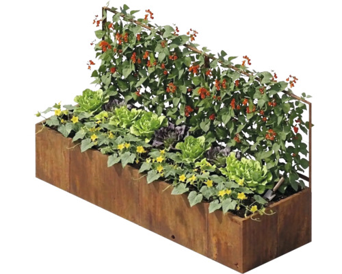 Jardinière surélevée rectangulaire en acier corten avec grand treillis, plantée de salades et de plantes grimpantes.