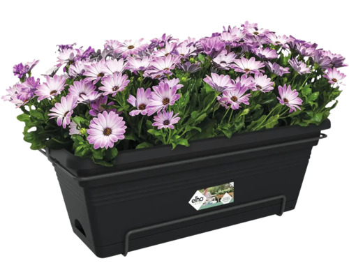 Balconnière Elho noire en plastique garnie de fleurs violettes et blanches.