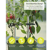 Chilipflanze im Topf mit Rankhilfe, für Balkon und Terrasse, einfacher Aufbau und Wassertank zur Bewässerung. Gusta Garden Logo.