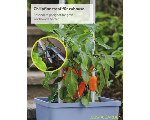 Chilipflanztopf aus Kunststoff mit integrierter Rankhilfe für groß wachsende Sorten, inklusive einer Detailansicht der Halterung.