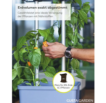 Gusta Garden Pflanzkasten mit Rankhilfe für 20 Liter Erde und 2 Pflanzen. Eine Hand erntet eine Paprika. Gusta Garden Logo.