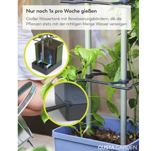 Gusta Garden Selbstbewässerungssystem mit Wassertank, Bewässerungsbändern und Rankhilfe für Bewässerung einmal pro Woche. Gusta Garden Logo.
