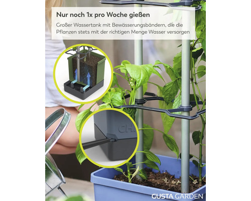 Gusta Garden Selbstbewässerungssystem mit Wassertank, Bewässerungsbändern und Rankhilfe für Bewässerung einmal pro Woche. Gusta Garden Logo.