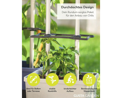 Chilipflanze in Pflanztopf mit Rankhilfe und Wassertank, ideal für Balkon oder Terrasse, einfacher Aufbau. Gusta Garden Logo.