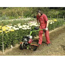 Une personne utilise une motobineuse pour travailler le sol dans un jardin à côté d'une rangée de fleurs jaunes et blanches.