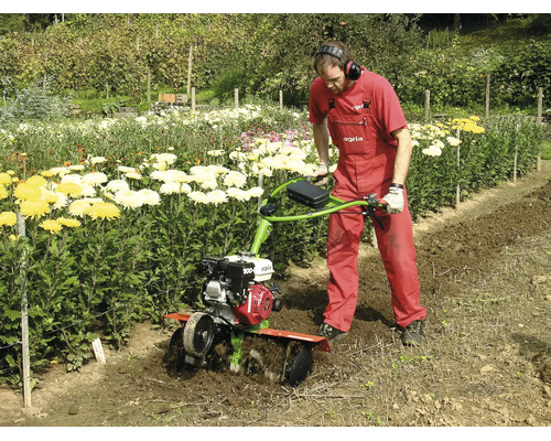 Une personne utilise une motobineuse pour travailler le sol dans un jardin à côté d'une rangée de fleurs jaunes et blanches.