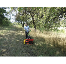 Un homme tond de l'herbe haute dans un verger à l'aide d'une faucheuse rotative.