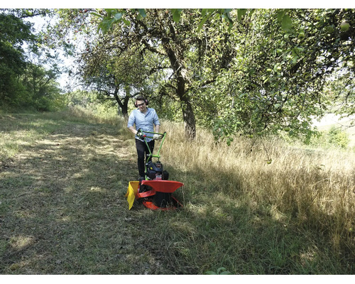Un homme tond de l'herbe haute dans un verger à l'aide d'une faucheuse rotative.