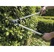 Une personne taille une haie avec un coupe-branches bypass dans le jardin. Le coupe-branches a de longs manches et des poignées ergonomiques.