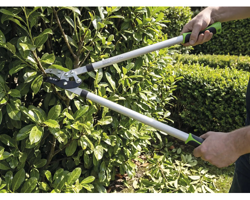 Une personne taille une haie avec un coupe-branches bypass dans le jardin. Le coupe-branches a de longs manches et des poignées ergonomiques.