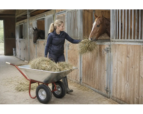Une femme nourrit un cheval avec du foin provenant d'une brouette à deux roues avec une cuve galvanisée dans une écurie en bois.