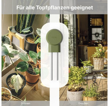 Capteur de plantes FYTA pour plantes en pot à l'intérieur et à l'extérieur avec deux tiges métalliques pour la mesure du sol.